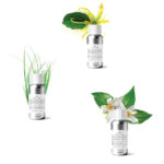 Neuroharmony - Olio Essenziale